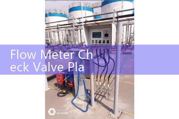 Flow Meter Check Valve Placement: Preventing Backflow Inaccuracies and Sensor Damage